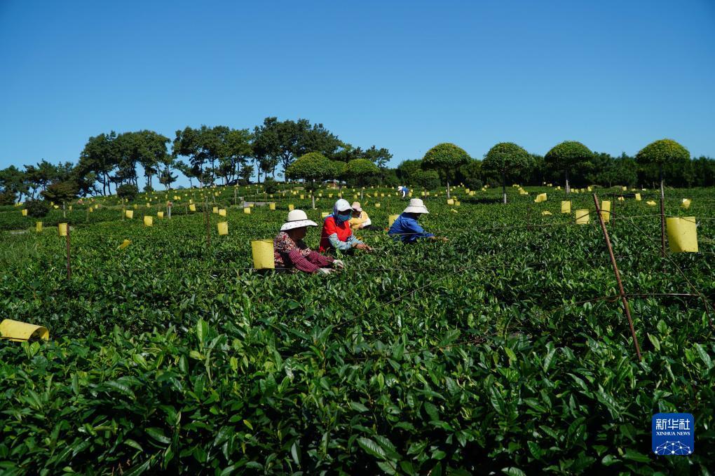 菠菜论坛网址大全